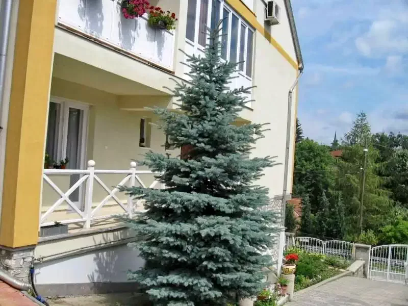 Miskolc Szállás | Hotel**** (K0560-30) A kép szerzői jogvédelem alatt állhat. Javasolt a kapcsolatfelvétel a jog tulajdonossal.