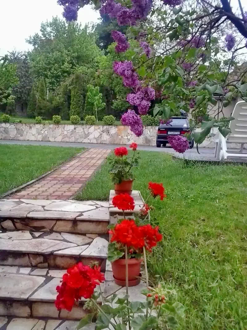 Mișcolț Cazare | Hotel**** (K0560-44) Imaginea poate fi supusă drepturilor de autor. Se recomandă contactarea titularului drepturilor.