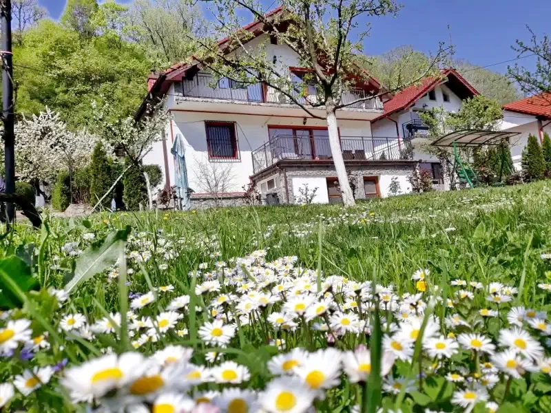 Herkulesfürdő Szállás | Panzió (K0896-1) A kép szerzői jogvédelem alatt állhat. Javasolt a kapcsolatfelvétel a jog tulajdonossal.