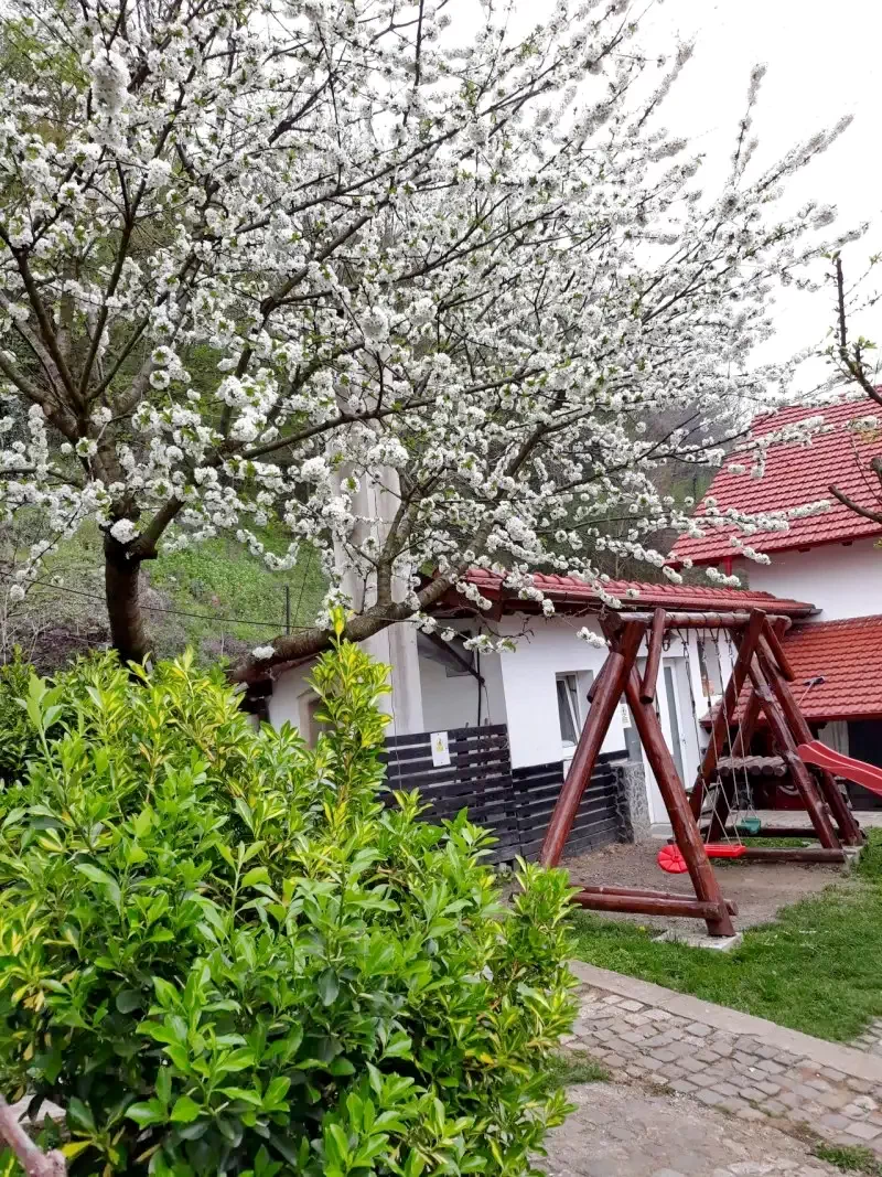 Szállás Băile Herculane - Vila Natura*** | Herkulesfürdő - Natura Villa***. A kép szerzői jogvédelem alatt állhat. Javasolt a kapcsolatfelvétel a jog tulajdonossal.