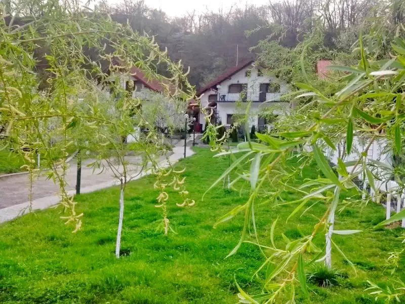 Szállás Băile Herculane - Vila Natura*** | Herkulesfürdő - Natura Villa***. A kép szerzői jogvédelem alatt állhat. Javasolt a kapcsolatfelvétel a jog tulajdonossal.