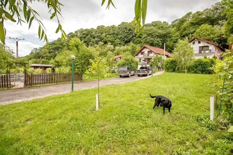 Szállás Băile Herculane - Vila Natura*** | Herkulesfürdő - Natura Villa***. A kép szerzői jogvédelem alatt állhat. Javasolt a kapcsolatfelvétel a jog tulajdonossal.