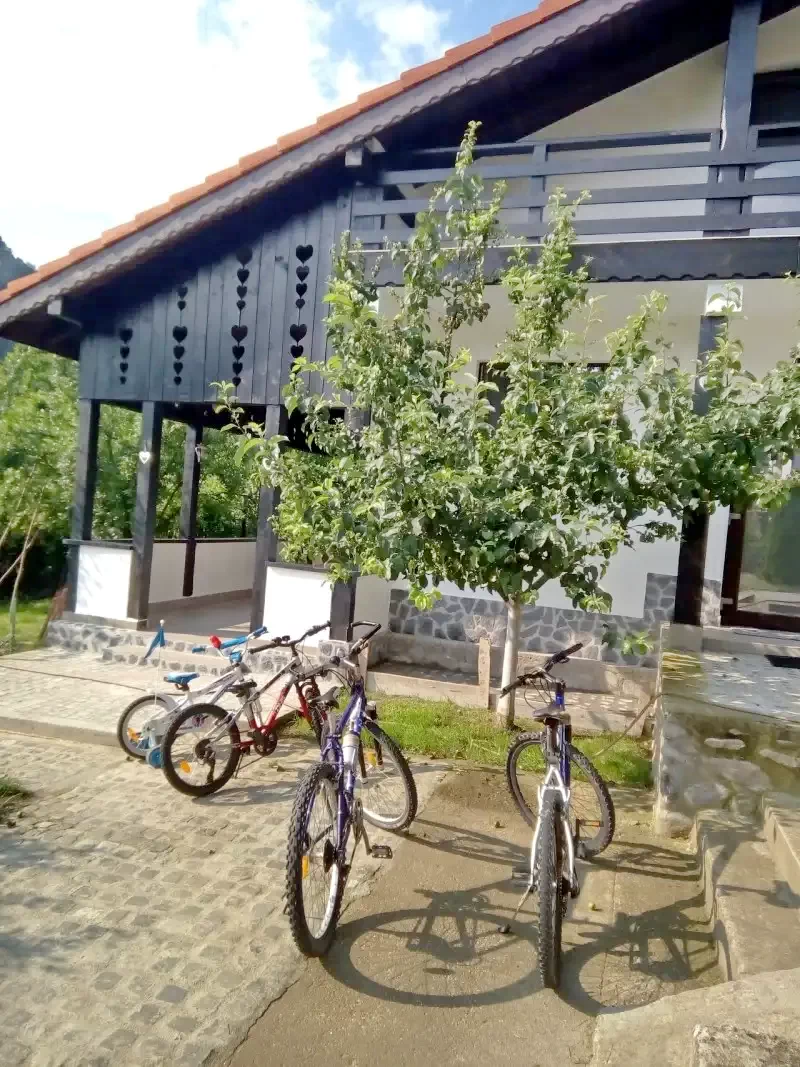 Szállás Băile Herculane - Vila Natura*** | Herkulesfürdő - Natura Villa***. A kép szerzői jogvédelem alatt állhat. Javasolt a kapcsolatfelvétel a jog tulajdonossal.