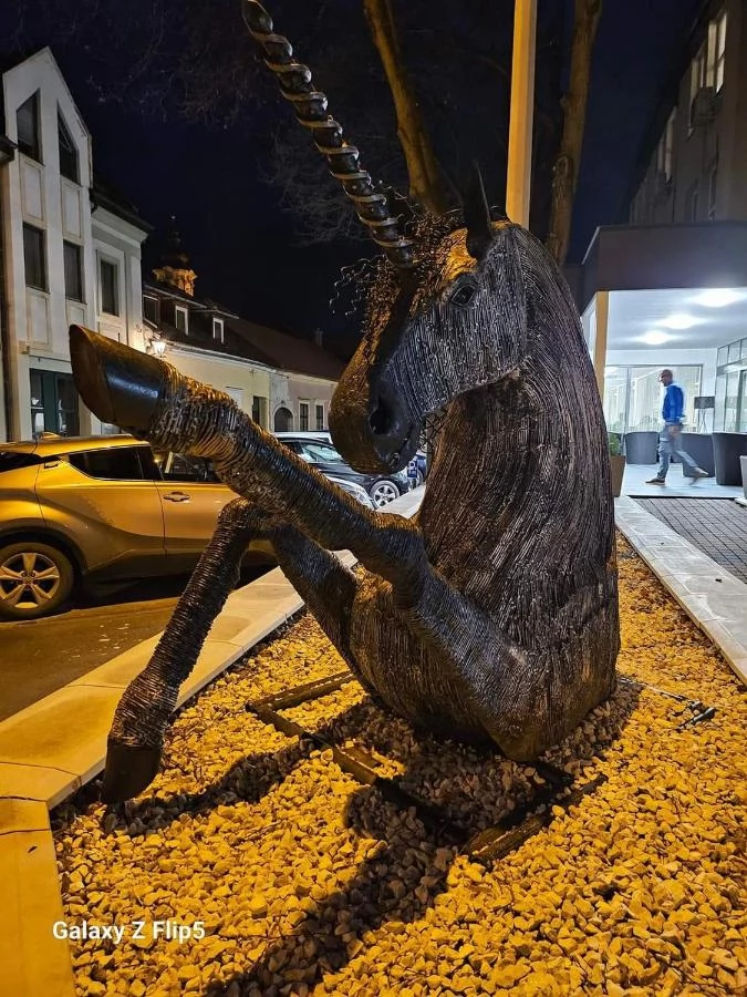 Szállás Eger / Hotel Unicornis. A kép szerzői jogvédelem alatt állhat. Javasolt a kapcsolatfelvétel a jog tulajdonossal.