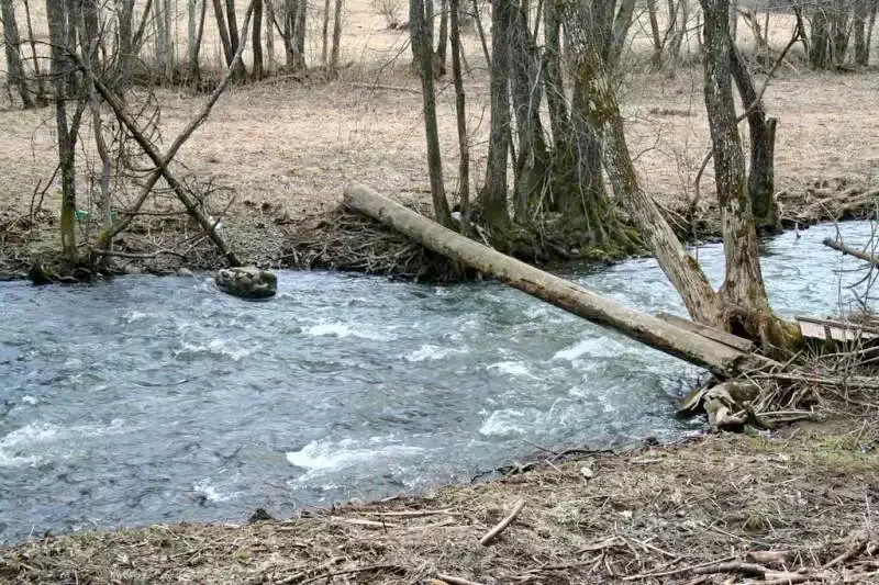 Szállás Șicasău - Casa la cheie Csíki Ernő|Sikaszó - Csíki Ernő Kulcsosház. A kép szerzői jogvédelem alatt állhat. Javasolt a kapcsolatfelvétel a jog tulajdonossal.