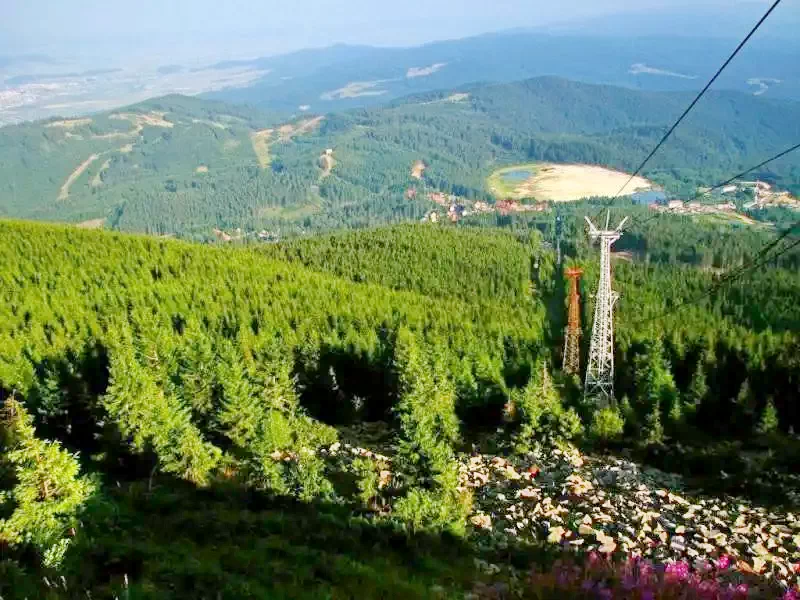 Hargitafürdő Szállás | Kulcsosház (K0273-46) A kép szerzői jogvédelem alatt állhat. Javasolt a kapcsolatfelvétel a jog tulajdonossal.