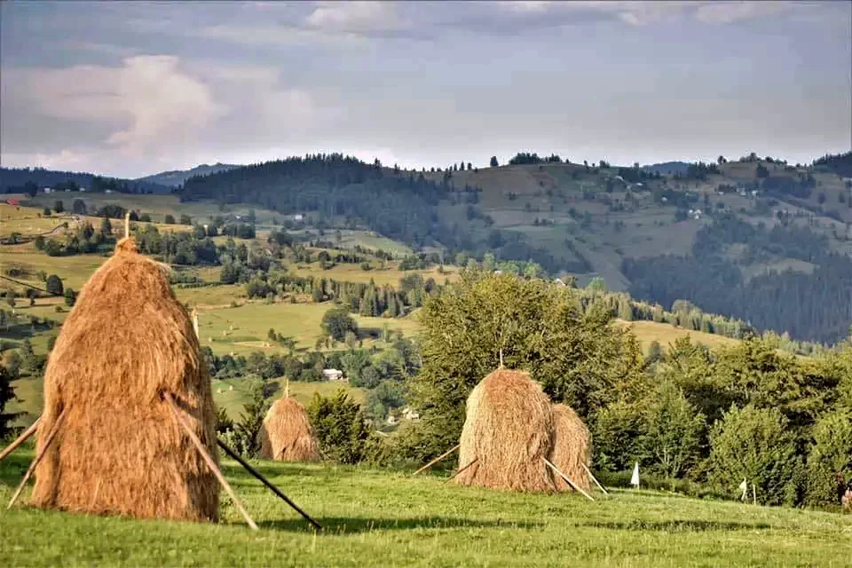 Lepus Szállás | Panzió (K1230-13) A kép szerzői jogvédelem alatt állhat. Javasolt a kapcsolatfelvétel a jog tulajdonossal.