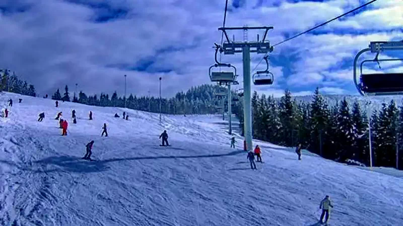 Lepus Szállás | Motel (K1230-40) A kép szerzői jogvédelem alatt állhat. Javasolt a kapcsolatfelvétel a jog tulajdonossal.