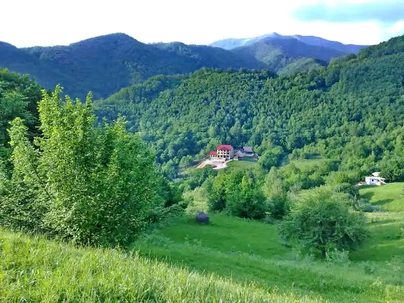 Szállás Valea Boga - Pensiunea Dolvas*** | Boga-völgye - Dolvas Panzió*** . A kép szerzői jogvédelem alatt állhat. Javasolt a kapcsolatfelvétel a jog tulajdonossal.