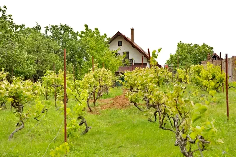 Nagyvárad Szállás | Villa (K1403-23) A kép szerzői jogvédelem alatt állhat. Javasolt a kapcsolatfelvétel a jog tulajdonossal.