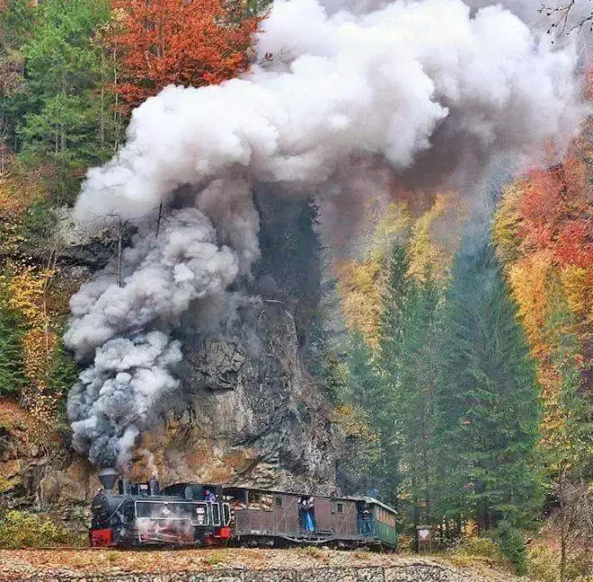 Borșa Cazare | Sat de vacanță (K0986-24) Imaginea poate fi supusă drepturilor de autor. Se recomandă contactarea titularului drepturilor.