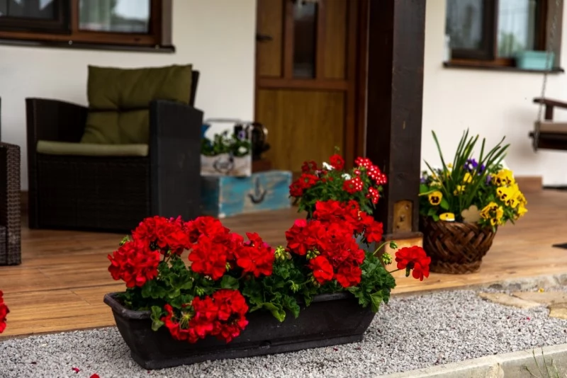 Chedia Mică Cazare | Sat de vacanță (K1260-34) Imaginea poate fi supusă drepturilor de autor. Se recomandă contactarea titularului drepturilor.