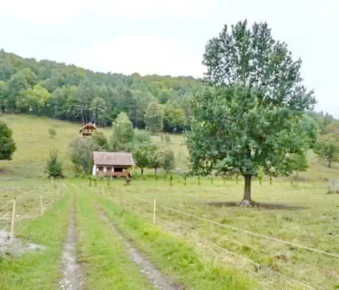 Zeteváralja Szállás | Kulcsosház (K0500-20) A kép szerzői jogvédelem alatt állhat. Javasolt a kapcsolatfelvétel a jog tulajdonossal.