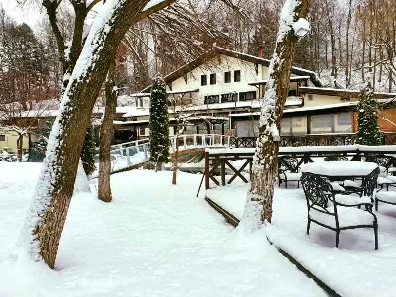 Alsótömös Szállás | Hotel*** (K1276-53) A kép szerzői jogvédelem alatt állhat. Javasolt a kapcsolatfelvétel a jog tulajdonossal.