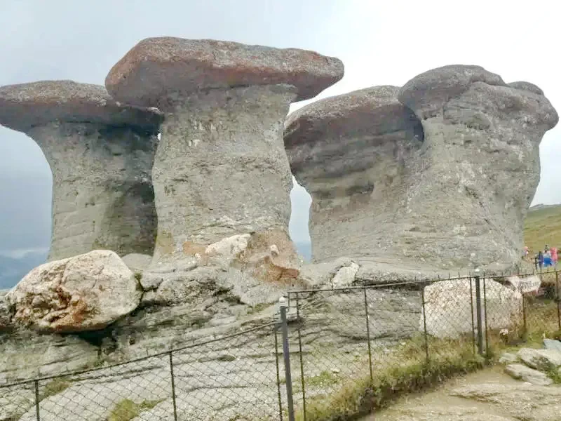 Szállás Bran - Vila Bogdan** | Törcsvár - Bogdan Villa** . A kép szerzői jogvédelem alatt állhat. Javasolt a kapcsolatfelvétel a jog tulajdonossal.