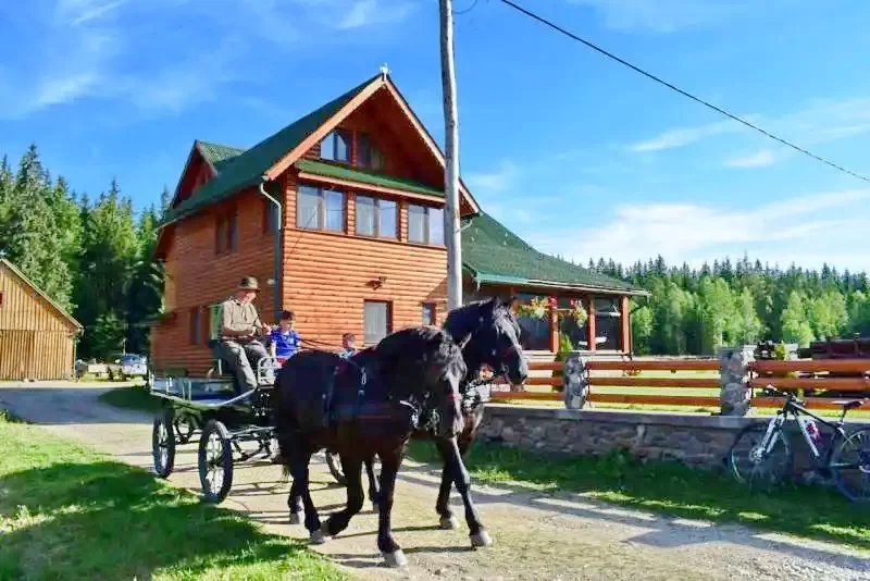 Smida Szállás | Panzió (K1245-19) A kép szerzői jogvédelem alatt állhat. Javasolt a kapcsolatfelvétel a jog tulajdonossal.