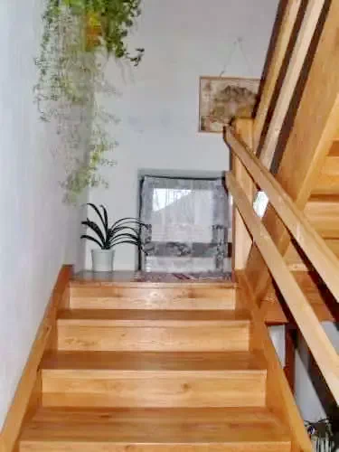 Székelyszentkirály Szállás | Hotel**** (K0558-19) A kép szerzői jogvédelem alatt állhat. Javasolt a kapcsolatfelvétel a jog tulajdonossal.