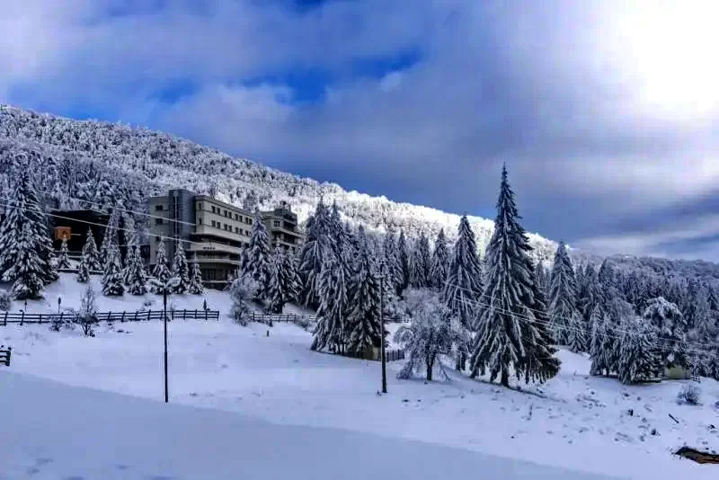 Szállás Băile Balvanyos - Hotel Grand Bálványos**** | Bálványosfürdő - Grand Hotel Bálványos****. A kép szerzői jogvédelem alatt állhat. Javasolt a kapcsolatfelvétel a jog tulajdonossal.