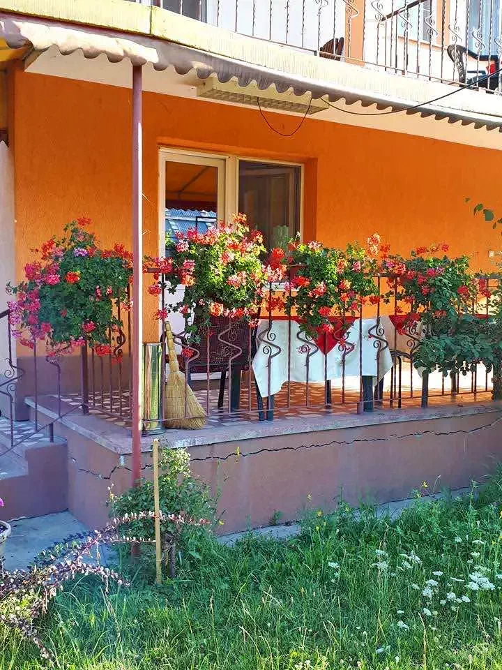 Târgu Neamț Cazare | Camping / Popas turistic (K0659-8) Imaginea poate fi supusă drepturilor de autor. Se recomandă contactarea titularului drepturilor.