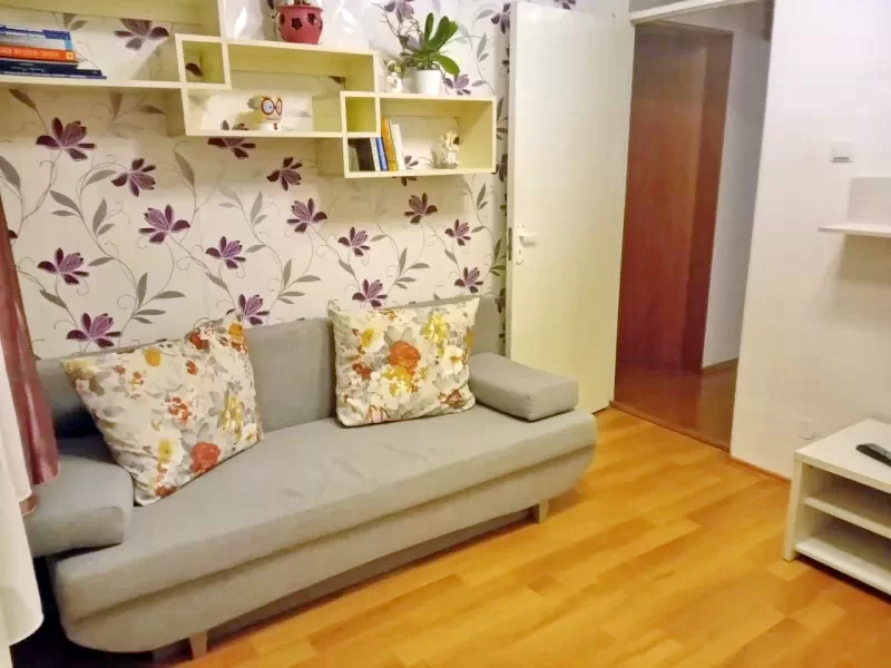 Sfântu Gheorghe Cazare | Apartament (K1419-7) Imaginea poate fi supusă drepturilor de autor. Se recomandă contactarea titularului drepturilor.