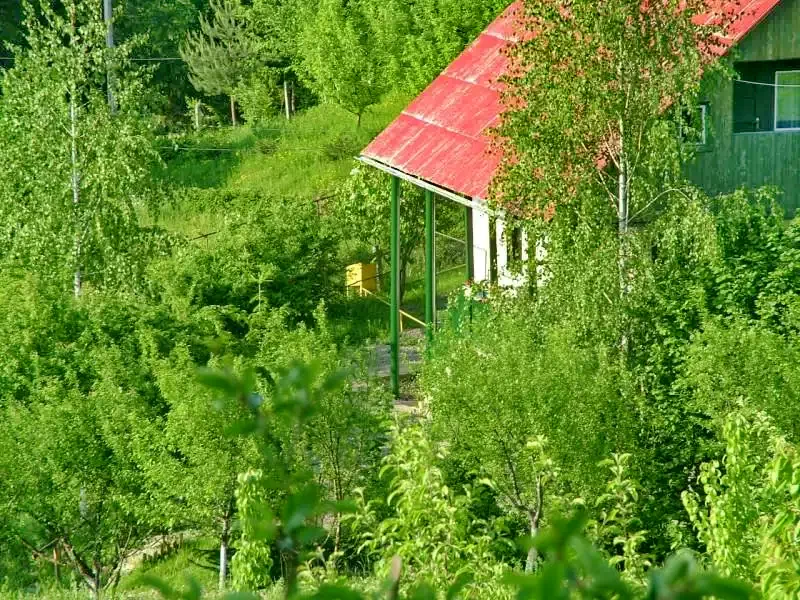 Szállás Sovata - Casa de Vacanta Erik | Szováta - Erik Kulcsosház. A kép szerzői jogvédelem alatt állhat. Javasolt a kapcsolatfelvétel a jog tulajdonossal.