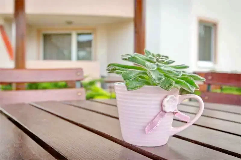  Cazare | Casă de apartamente (K1046-1) Imaginea poate fi supusă drepturilor de autor. Se recomandă contactarea titularului drepturilor.