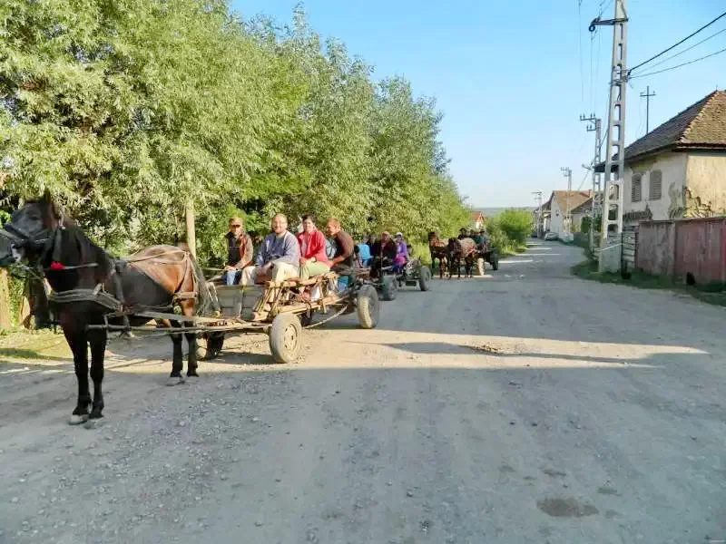 Lupeni Cazare | Casă de oaspeți (K0365-40) Imaginea poate fi supusă drepturilor de autor. Se recomandă contactarea titularului drepturilor.