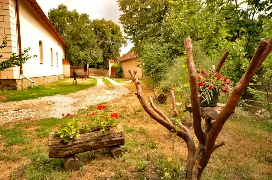 Szállás Cernat - Pensiune Enikő** | Csernáton - Enikő Vendégház**. A kép szerzői jogvédelem alatt állhat. Javasolt a kapcsolatfelvétel a jog tulajdonossal.