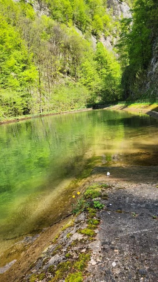 Boga Völgye Szállás | Panzió (K0052-55) A kép szerzői jogvédelem alatt állhat. Javasolt a kapcsolatfelvétel a jog tulajdonossal.