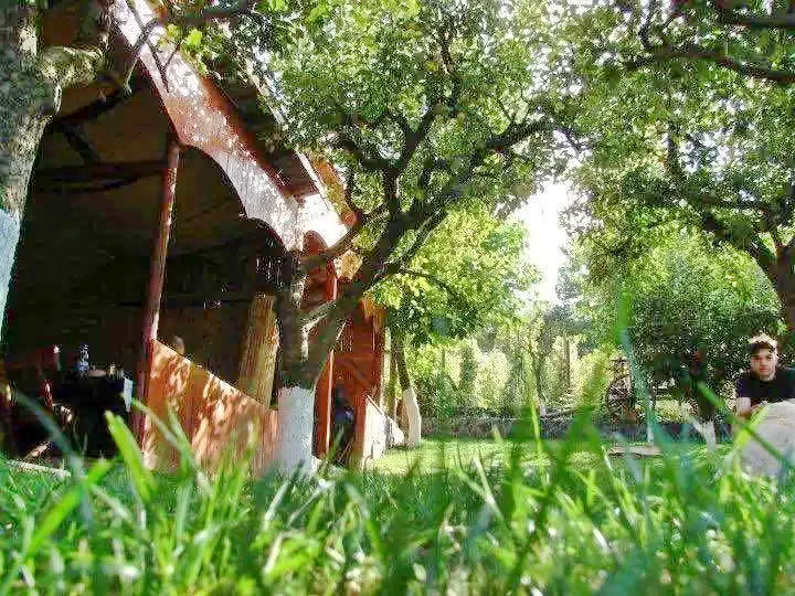 Jidvei Cazare | Hotel**** (K0185-28) Imaginea poate fi supusă drepturilor de autor. Se recomandă contactarea titularului drepturilor.