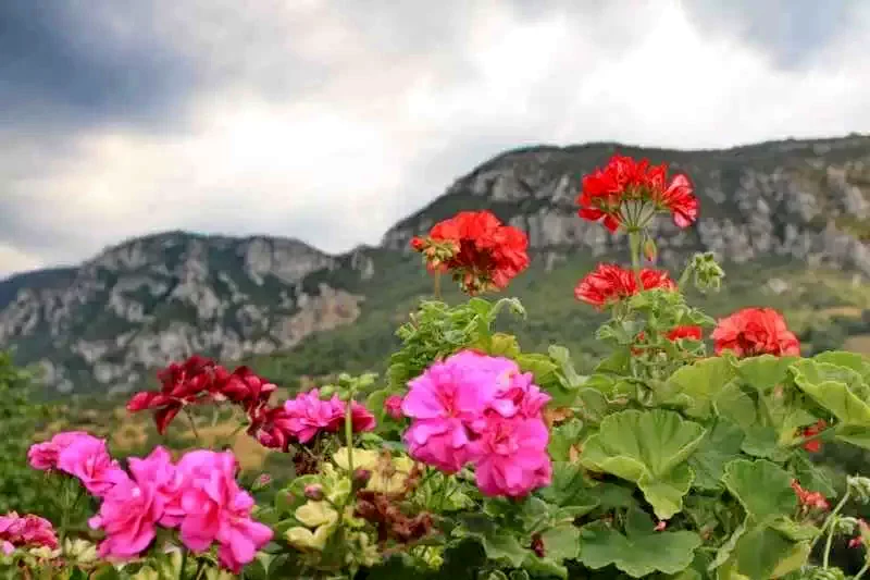 Herkulesfürdő Szállás | Motel (K0883-12) A kép szerzői jogvédelem alatt állhat. Javasolt a kapcsolatfelvétel a jog tulajdonossal.