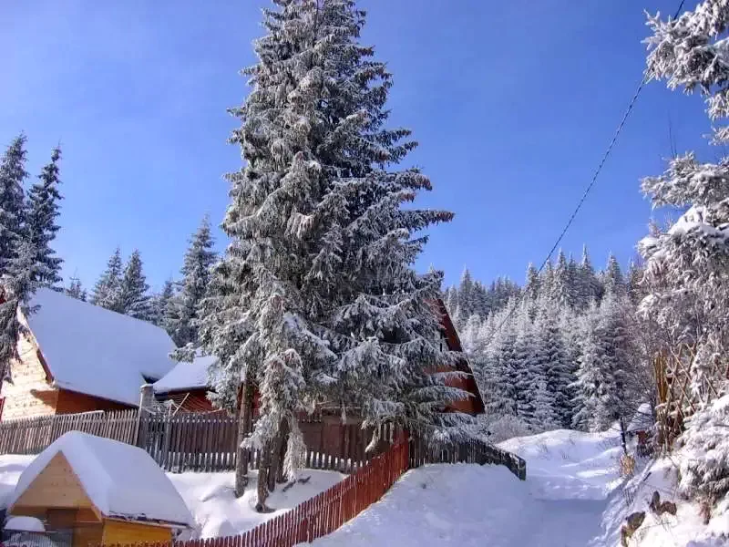 Hargitafürdő Szállás | Üdülőfalu (K0273-35) A kép szerzői jogvédelem alatt állhat. Javasolt a kapcsolatfelvétel a jog tulajdonossal.