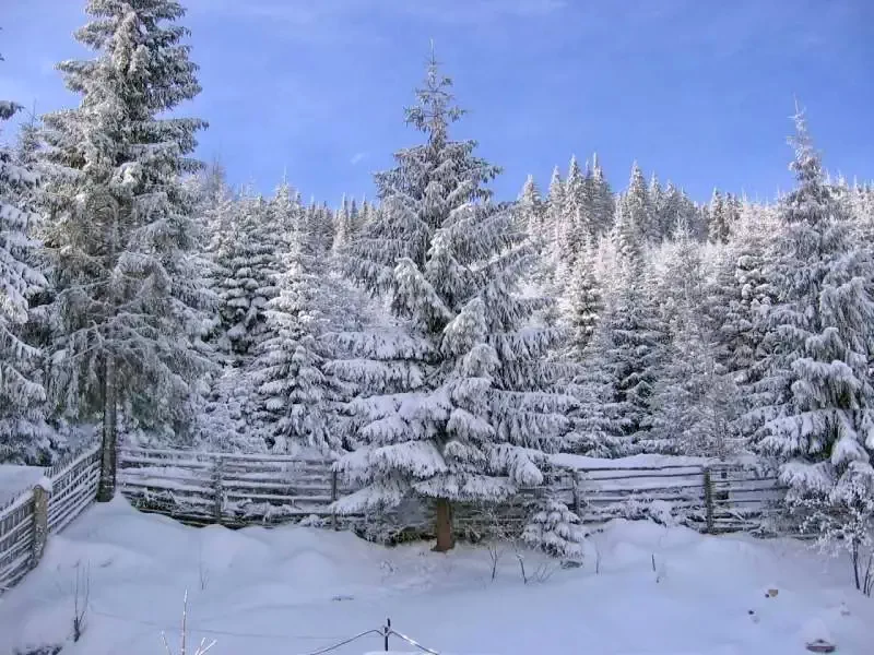 Harghita-Băi Cazare | Sat de vacanță (K0273-38) Imaginea poate fi supusă drepturilor de autor. Se recomandă contactarea titularului drepturilor.