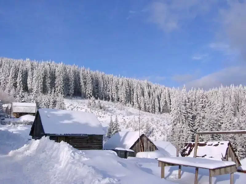 Hargitafürdő Szállás | Üdülőfalu (K0273-39) A kép szerzői jogvédelem alatt állhat. Javasolt a kapcsolatfelvétel a jog tulajdonossal.