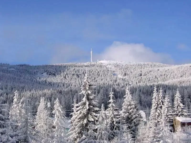 Hargitafürdő Szállás | Üdülőfalu (K0273-40) A kép szerzői jogvédelem alatt állhat. Javasolt a kapcsolatfelvétel a jog tulajdonossal.
