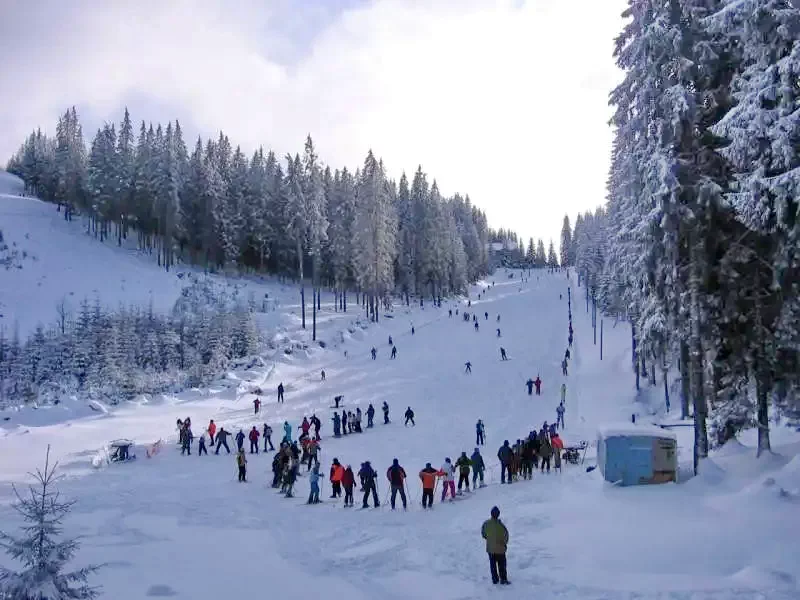 Harghita-Băi Cazare | Sat de vacanță (K0273-42) Imaginea poate fi supusă drepturilor de autor. Se recomandă contactarea titularului drepturilor.