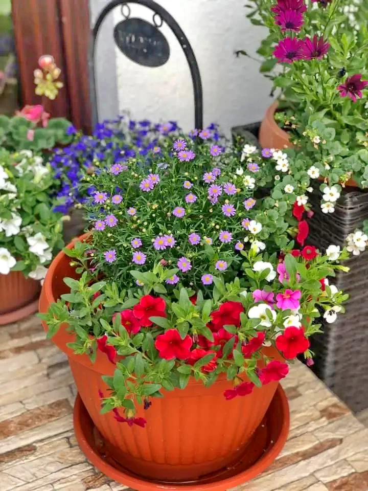 Moieciu de Sus Cazare | Motel (K1376-5) Imaginea poate fi supusă drepturilor de autor. Se recomandă contactarea titularului drepturilor.