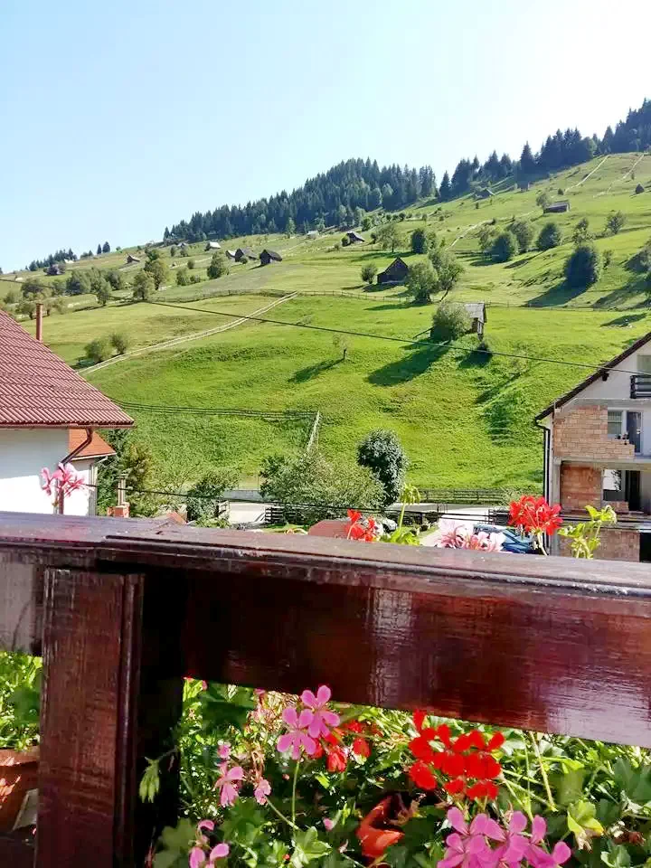 Felsőmoécs Szállás | Motel (K1376-6) A kép szerzői jogvédelem alatt állhat. Javasolt a kapcsolatfelvétel a jog tulajdonossal.