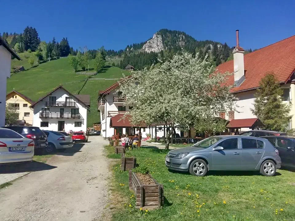 Moieciu de Sus Cazare | Motel (K1376-34) Imaginea poate fi supusă drepturilor de autor. Se recomandă contactarea titularului drepturilor.