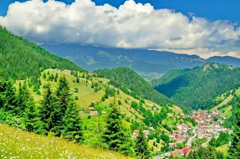 Moieciu de Sus Cazare | Motel (K1376-41) Imaginea poate fi supusă drepturilor de autor. Se recomandă contactarea titularului drepturilor.