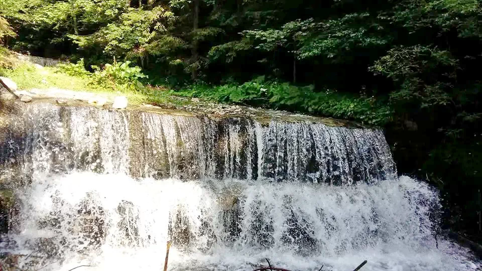 Felsőmoécs Szállás | Motel (K1376-42) A kép szerzői jogvédelem alatt állhat. Javasolt a kapcsolatfelvétel a jog tulajdonossal.