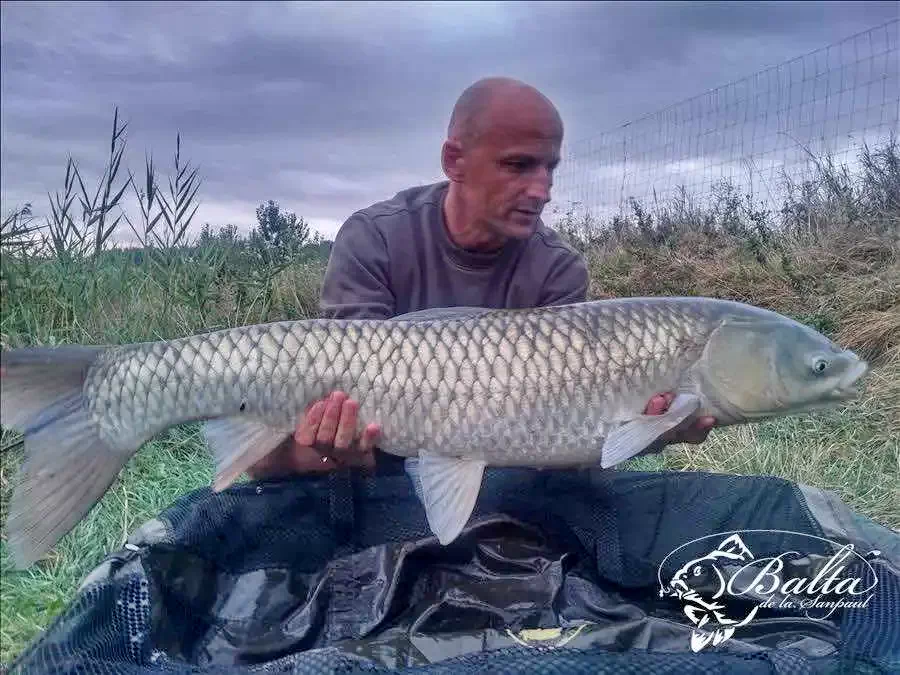 Homoródszentpál Szállás | Hotel**** (K0854-12) A kép szerzői jogvédelem alatt állhat. Javasolt a kapcsolatfelvétel a jog tulajdonossal.