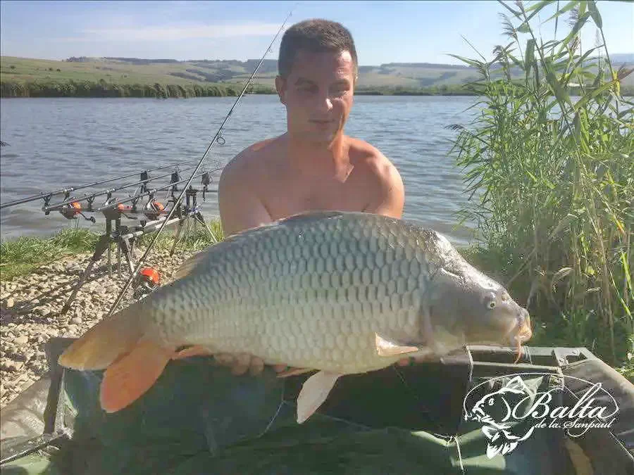 Sânpaul Cazare | Hotel**** (K0854-14) Imaginea poate fi supusă drepturilor de autor. Se recomandă contactarea titularului drepturilor.