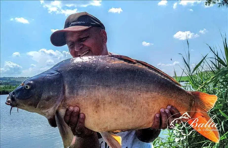 Sânpaul Cazare | Hotel**** (K0854-16) Imaginea poate fi supusă drepturilor de autor. Se recomandă contactarea titularului drepturilor.