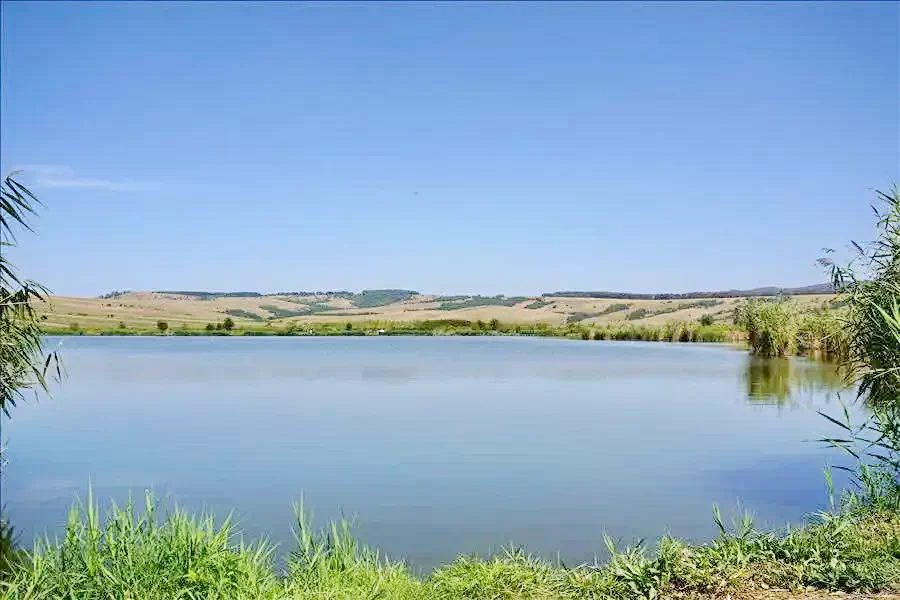 Sânpaul Cazare | Hotel**** (K0854-17) Imaginea poate fi supusă drepturilor de autor. Se recomandă contactarea titularului drepturilor.