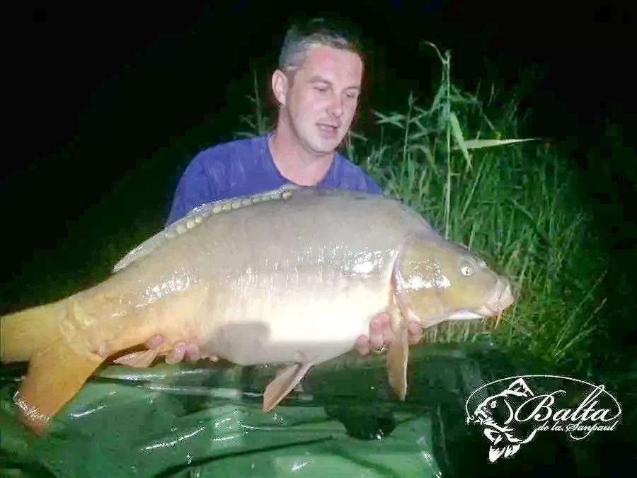 Sânpaul Cazare | Hotel**** (K0854-18) Imaginea poate fi supusă drepturilor de autor. Se recomandă contactarea titularului drepturilor.