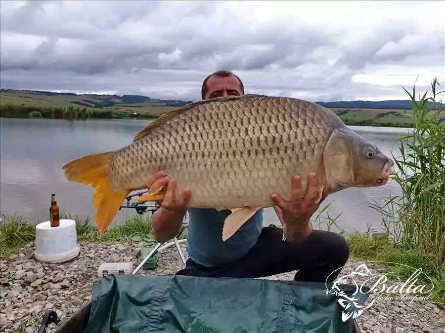 Sânpaul Cazare | Hotel**** (K0854-19) Imaginea poate fi supusă drepturilor de autor. Se recomandă contactarea titularului drepturilor.