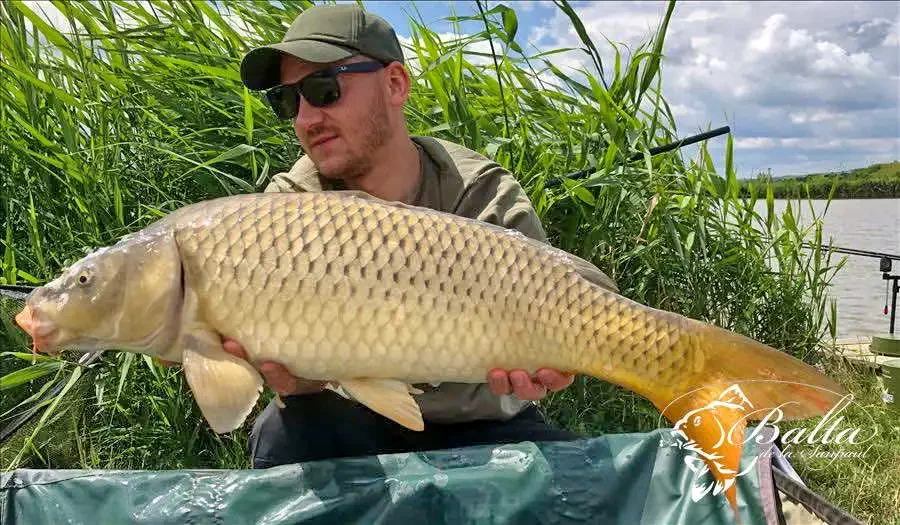 Homoródszentpál Szállás | Hotel**** (K0854-20) A kép szerzői jogvédelem alatt állhat. Javasolt a kapcsolatfelvétel a jog tulajdonossal.