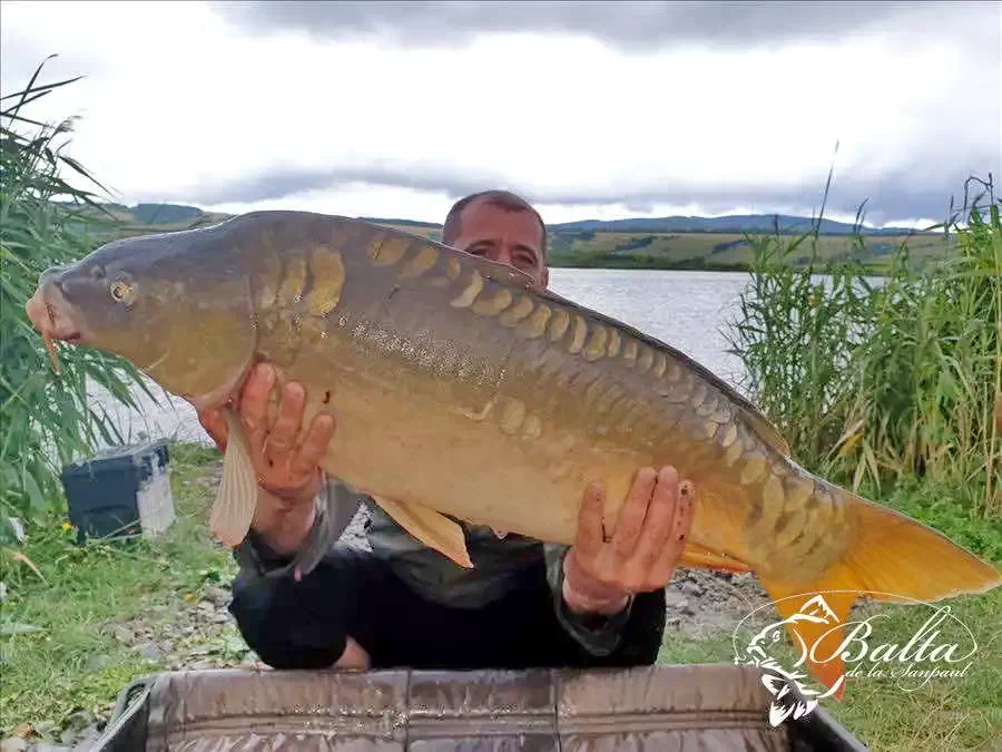 Sânpaul Cazare | Hotel**** (K0854-22) Imaginea poate fi supusă drepturilor de autor. Se recomandă contactarea titularului drepturilor.