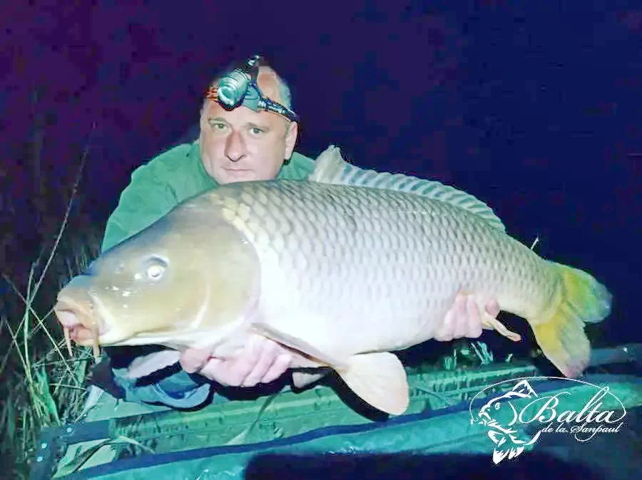 Homoródszentpál Szállás | Hotel**** (K0854-23) A kép szerzői jogvédelem alatt állhat. Javasolt a kapcsolatfelvétel a jog tulajdonossal.